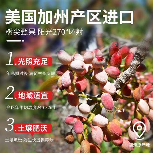 开心果2025新货500g原色原味坚果散装无漂白干果仁孕妇年货旗舰店 - 图1