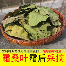 Frost mulberry leaf Chinese herbal medicine 500g wild creamy after mulberry leaf mulberry leaf mulberry leaf tea fresh dried goods mulberry leaf powder