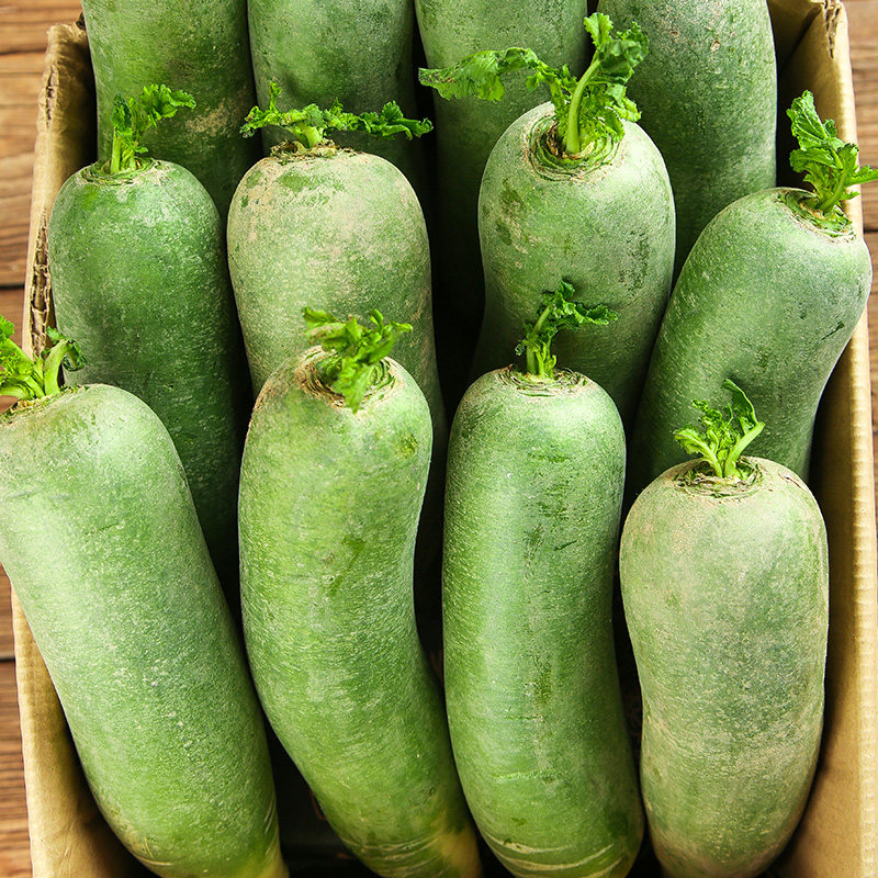山东水果萝卜潍坊萝卜甜脆水果型潍县沙窝青萝卜5斤新鲜生吃正宗,淘宝优惠券,粉丝福利购,淘宝优惠卷