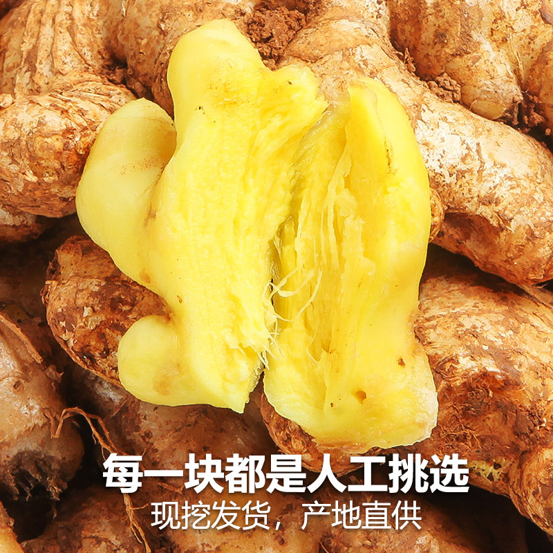 现挖正宗小黄姜新鲜生姜老姜高山小黄老姜月子姜老姜9斤罗平干姜