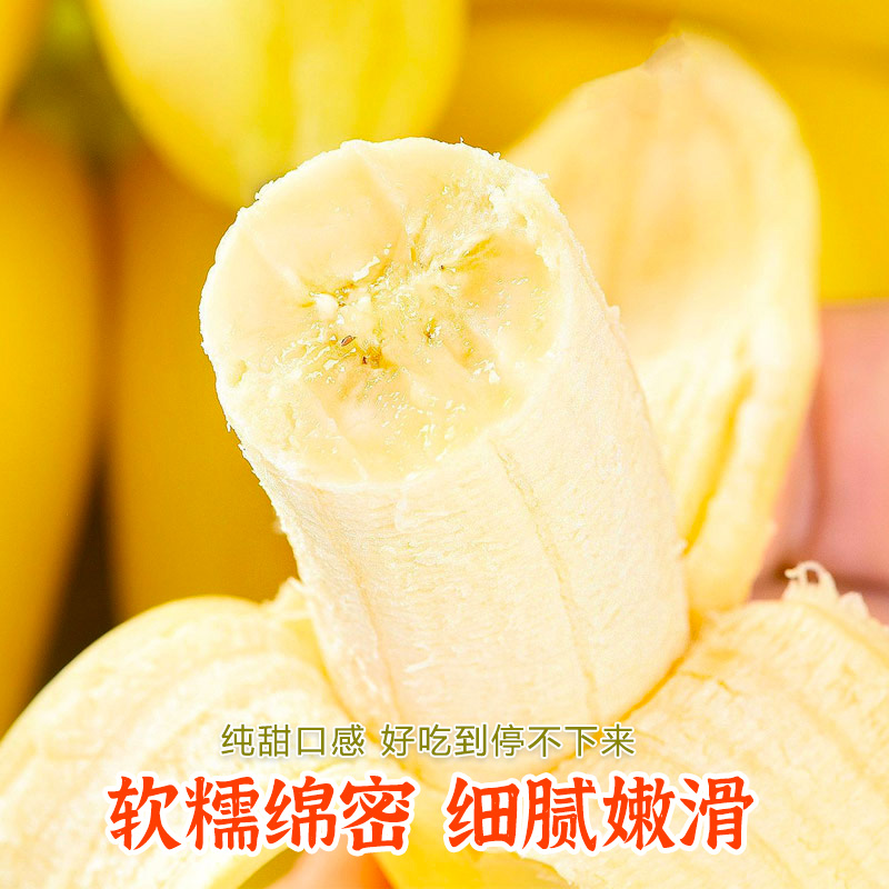 广西苹果蕉当季新鲜水果现摘10斤整箱自然熟孕妇小米蕉香蕉粉蕉甜-图0