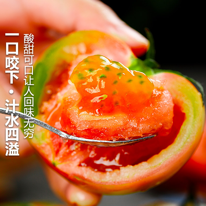 正宗铁皮草莓柿子1/2/3/5斤现摘碱地新鲜自然熟绿腚番茄西红柿