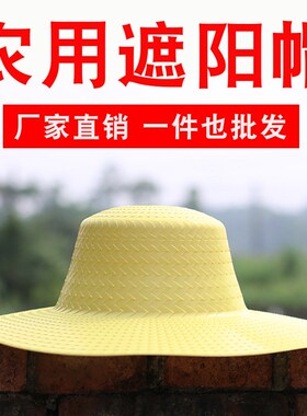 塑料帽子防晒草帽大沿胶帽钓鱼帽采茶帽防风遮雪斗笠雨帽文艺复古