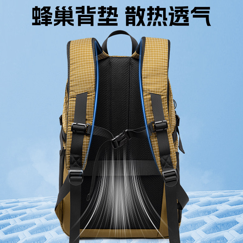 图 5