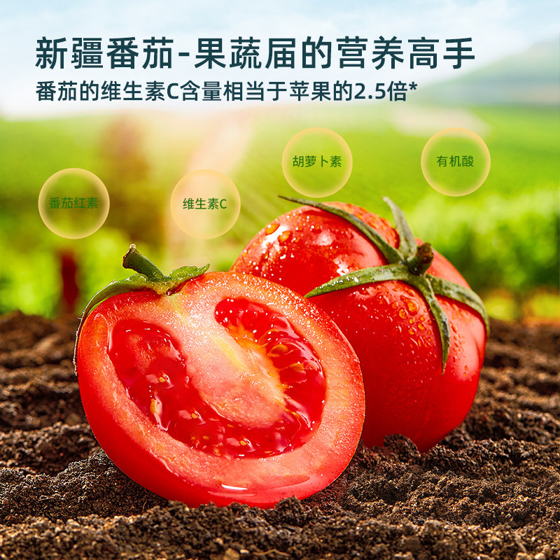窝小芽婴幼儿宝宝番茄酱60g*6袋装儿童小包挤挤袋辅食调料番茄酱