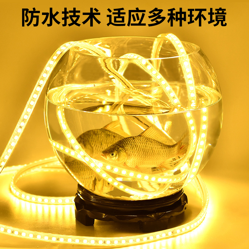 led灯带24v36v220v卷100米戶外防水工程工地下室隧道养殖照明灯条 - 图2