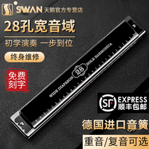 German import sound spring harmonica harmonica 24 holes comeback C for beginners Adult introductory 28 holes Accent Professional Playing Class