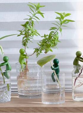 塑料水培植物支撑架防倒伏扶枝