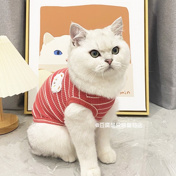 夏季ins猫咪衣服薄款银渐层蓝猫英短布偶暹罗猫矮脚猫防掉毛背心-图0