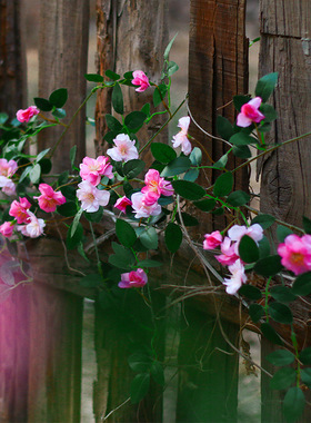 蔷薇花藤条仿真花假花藤蔓壁挂