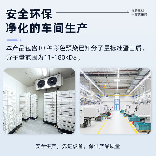 biosharp白鲨 BL706A western blot预染marker 彩色预染蛋白质分子量标准品(10-180kD) - 图3