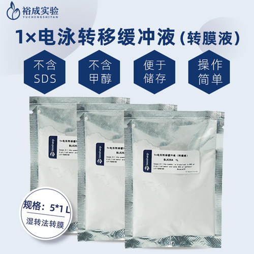 BL626A 1×电泳转移缓冲液（转膜液）western blot  Transfer Buffer 转印液 转印冻干粉 - 图0