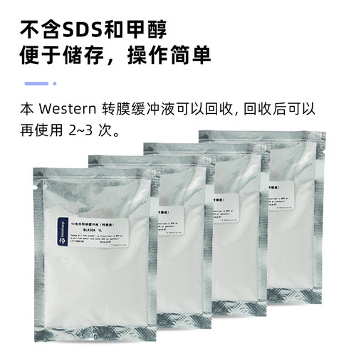 BL626A 1×电泳转移缓冲液（转膜液）western blot  Transfer Buffer 转印液 转印冻干粉 - 图1