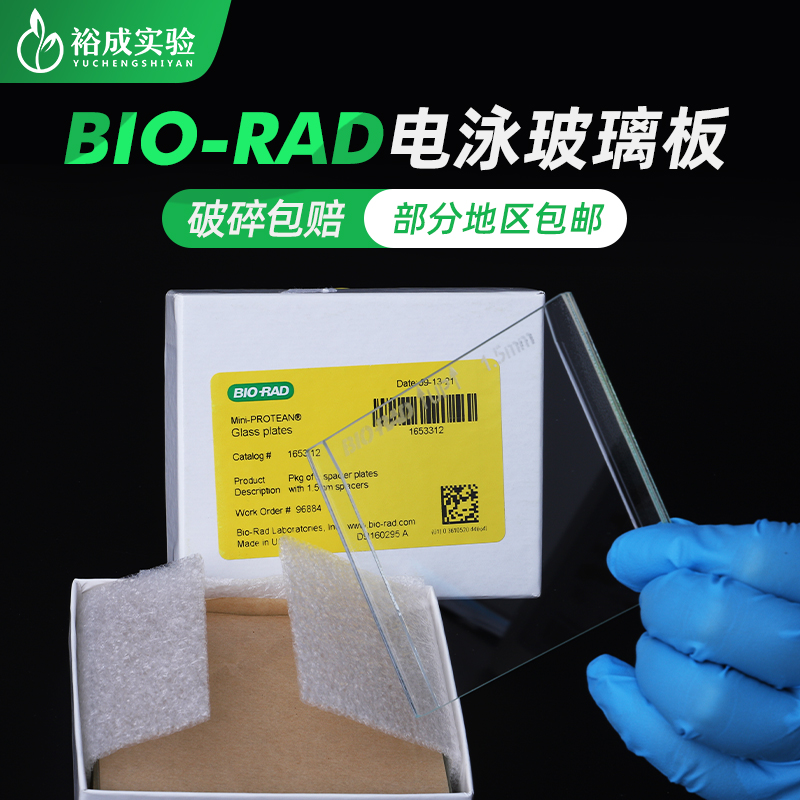 裕成实验Western Blot玻璃短板WB电泳厚玻璃板长板通用伯乐Bio-Rad1653308 1653310 1653311 1653312-图1