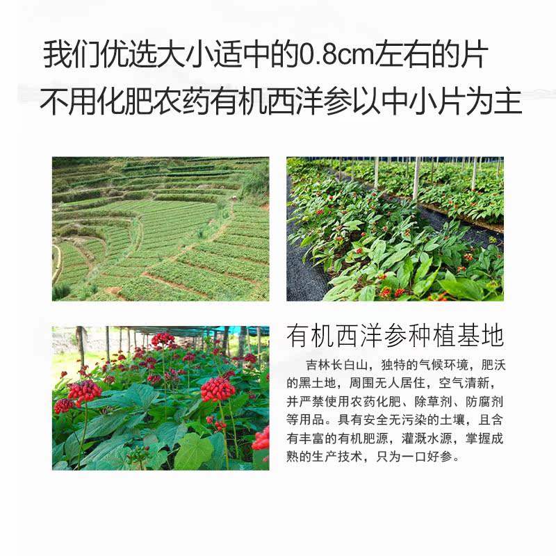 吉林50g敖东西洋参片 延边原产地西洋参