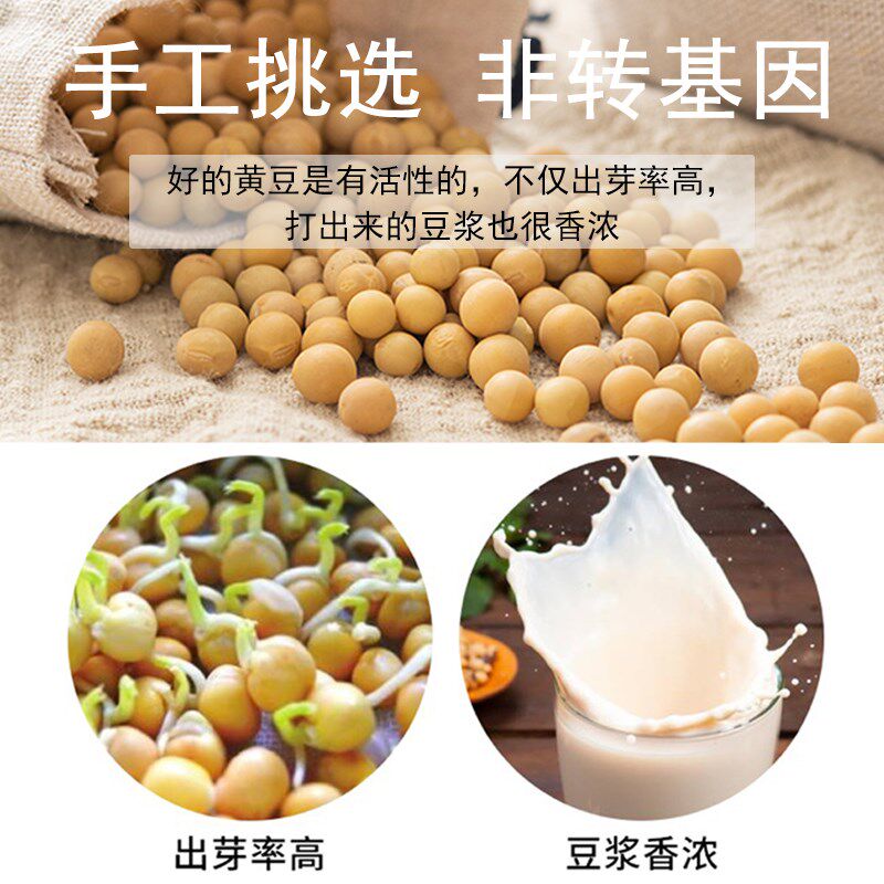 东北非转基因黄豆可打豆浆生芽豆 画迈黄豆