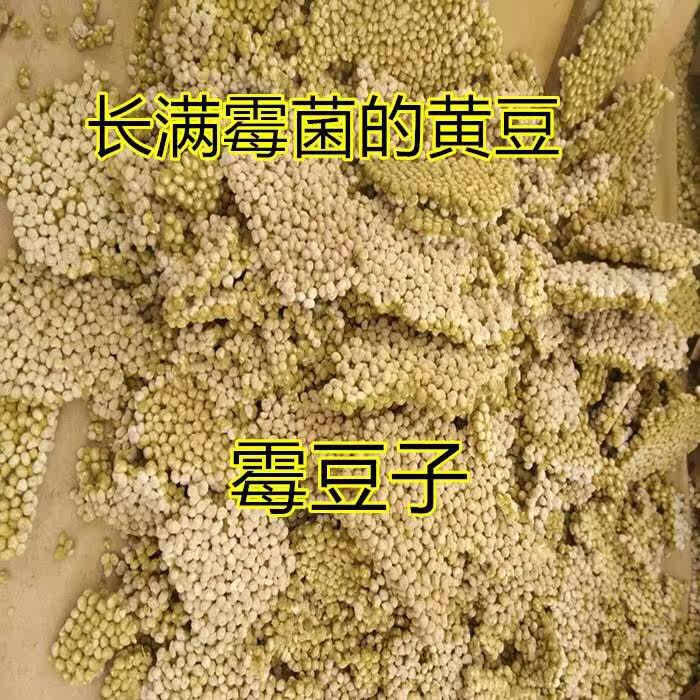 自制霉农家黄豆西瓜酱霉豆瓣大豆 画迈黄豆
