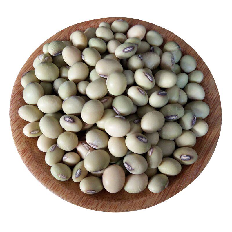 5斤装广西绿皮土黄豆农户生打豆浆 画迈黄豆