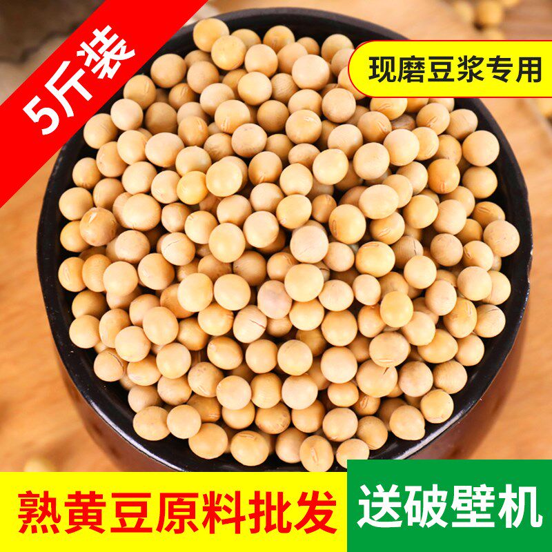 黄豆打豆浆低温即食商用烘培炒熟 画迈黄豆