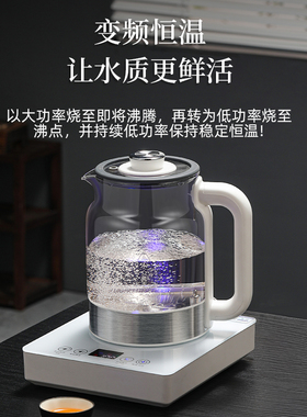 全自动上水煮茶器蒸汽喷淋式煮茶壶家用蒸煮两用大容量保温养生壶