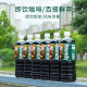 6 bottles of agfblendy ready-to-drink summer coffee drinks