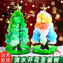 Christmas Tree Diy Paper Tree Blooming Toy Material Bag Watering Growth Crystallization Magic Tree Decorations Children Presents