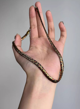 朋克欧美风金色灵蛇蛇骨项链小众