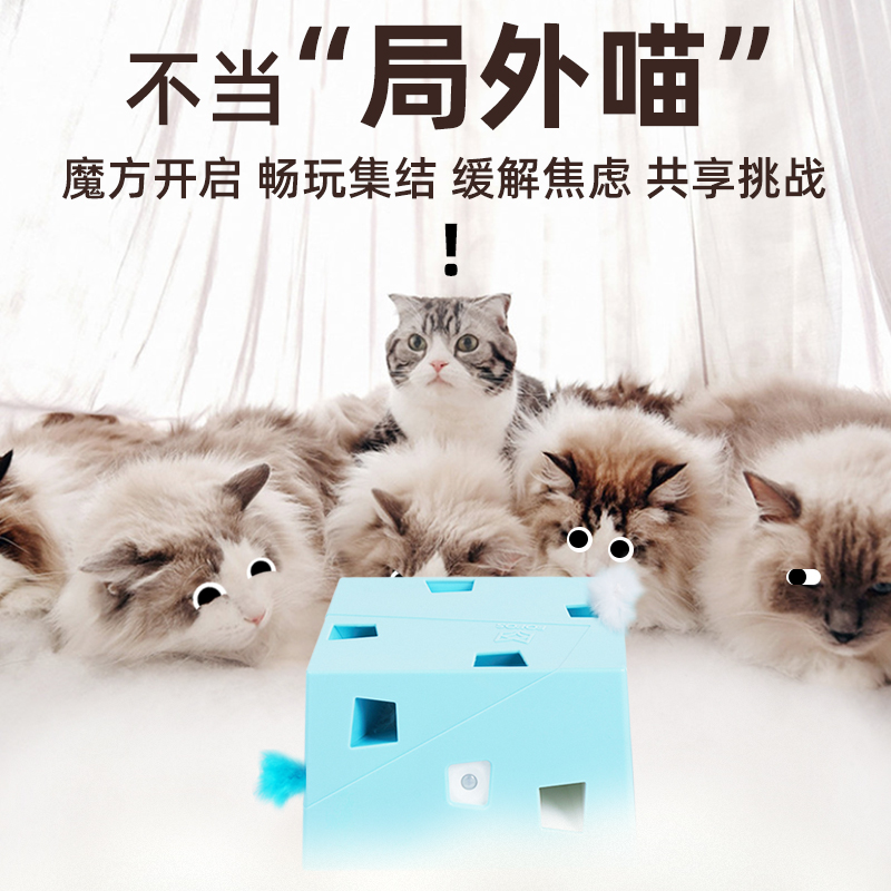 FOFOS两只福狸多猫同玩互动智能逗猫玩具魔盒PLUS魔方宠物玩具-图1