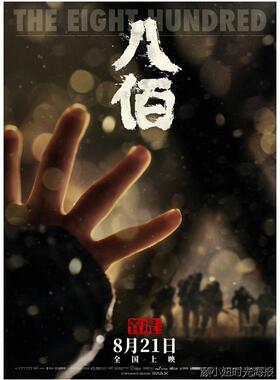 攀登者/中国机长/八佰/李娜 我和我的祖国电影海报墙贴壁画装饰画