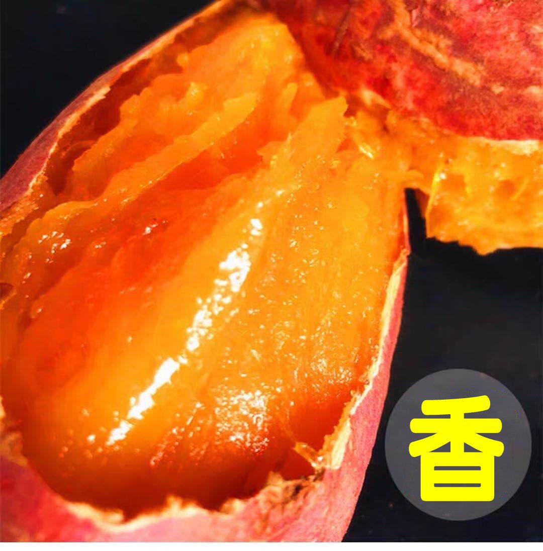 10斤农家蜜薯糖心山芋红心新鲜红薯 淘鲜园番薯