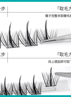 anjicat懒人自嫁接羽扇仙子睫毛