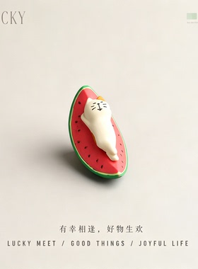 YLUCKY躺西瓜猫创意车载摆件