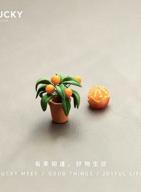 YLUCKY金桔抱平安挪车号码牌