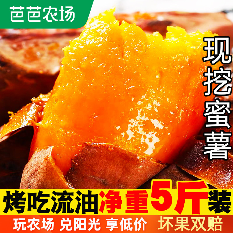 新鲜蜜薯5斤农家香薯板栗10山芋 谢小鲜番薯