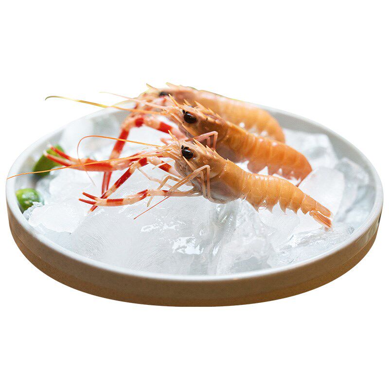 舟山海鳌野生螯虾深海小龙虾刺身 食锦恋冻虾