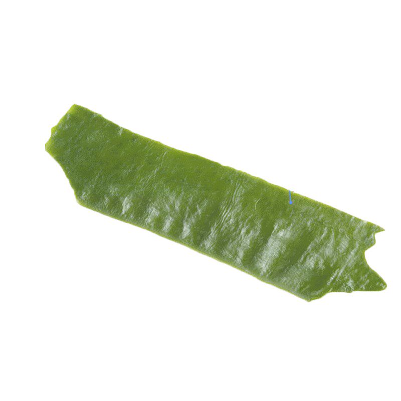 长岛干裙带菜海木耳嫩牙出口螺旋藻 食锦恋海带