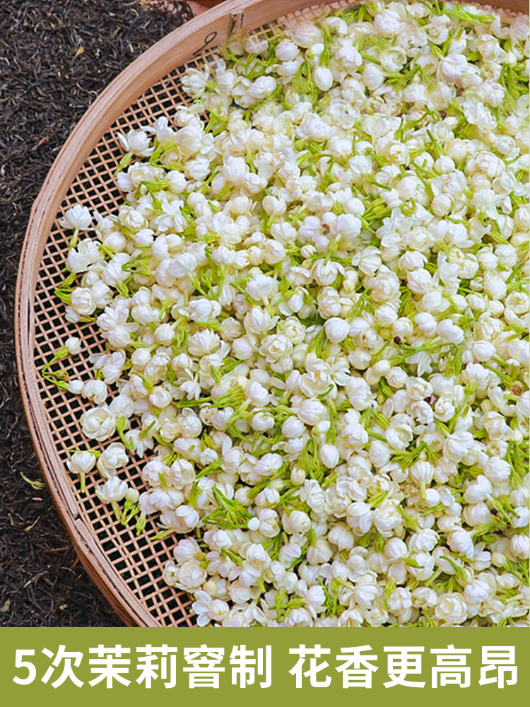 5窨高香毛尖茉莉绿茶500g商用 质茶食品其它绿茶