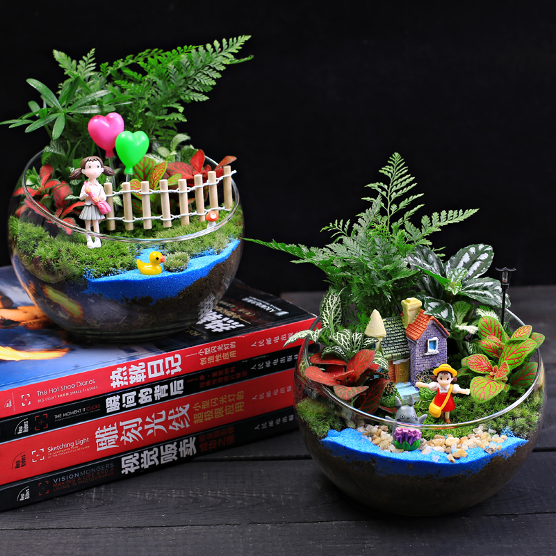 diy材料15cm切口苔藓微景观包创意玻璃球生态瓶子摆件礼品物套装,淘宝优惠券,粉丝福利购,淘宝优惠卷