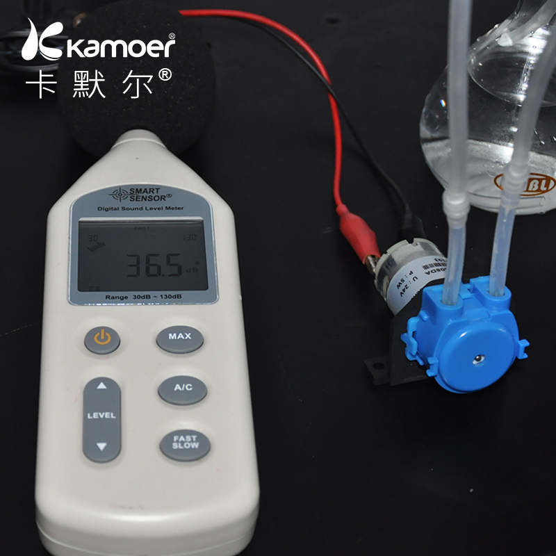 蠕动泵12v微型水泵家用小型水泵静音迷你自吸泵24v直流电动抽水泵