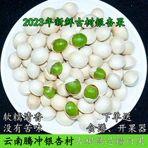 2023 TenChong Gingko Village White Fruits Green Core Glutinous Fragrant Yunnan Ancient Tree Gingko Fruits Non Ready-to-eat Roast Fruit Benevolent