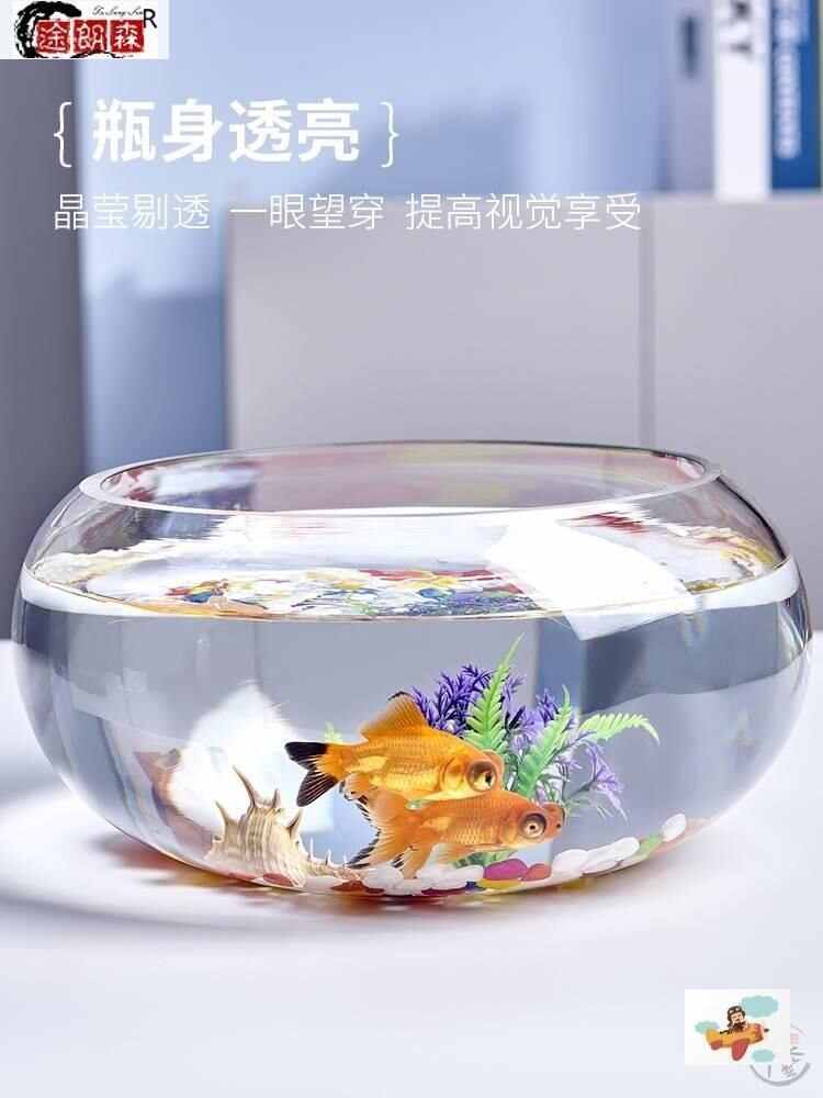 养金鱼用品 新人首单立减十元 22年8月 淘宝海外