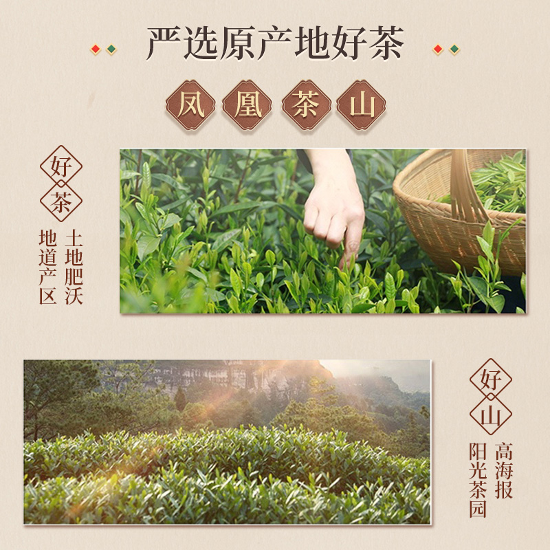 九百年茶叶凤凰单丛蜜兰香潮州凤凰单枞茶春茶礼盒高山乌龙茶500g