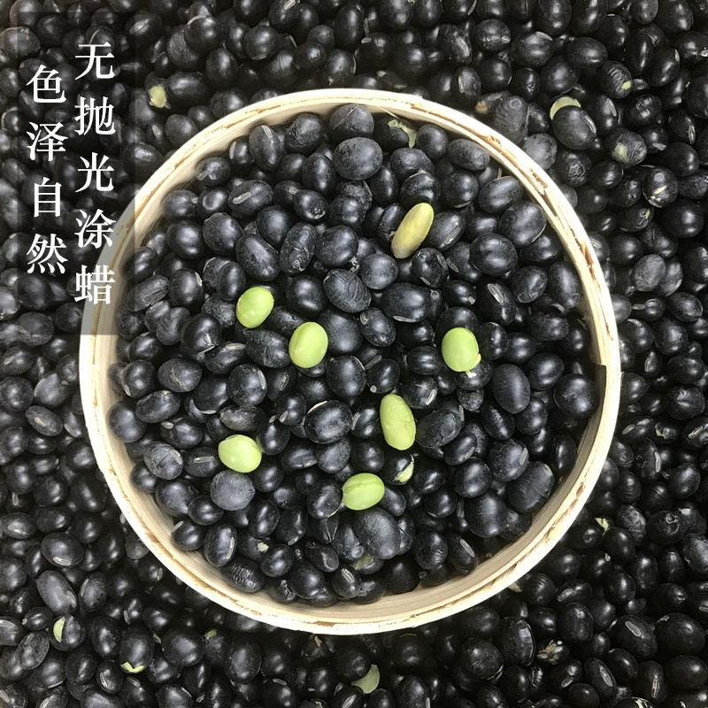 绿心黑豆500g 农家自产青仁黑豆东北绿芯小黑豆乌豆五谷杂粮 - 图0