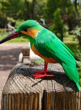 仿真翠鸟装饰羽毛工艺品