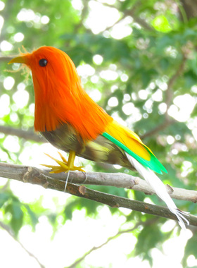 仿真羽毛彩色小鸟家居创意装饰