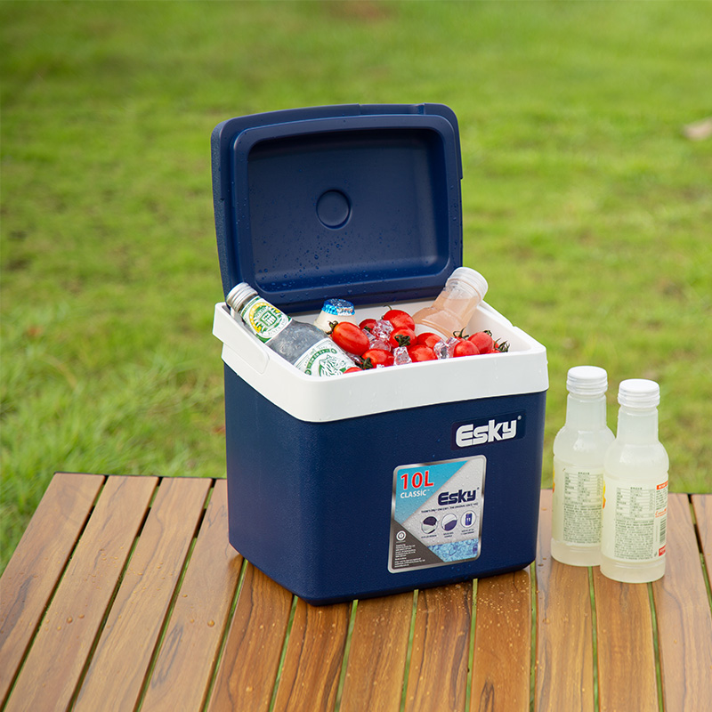 esky10L保温箱车载冷藏箱户外野餐便携保冷箱食品食物保冷保鲜箱-图2