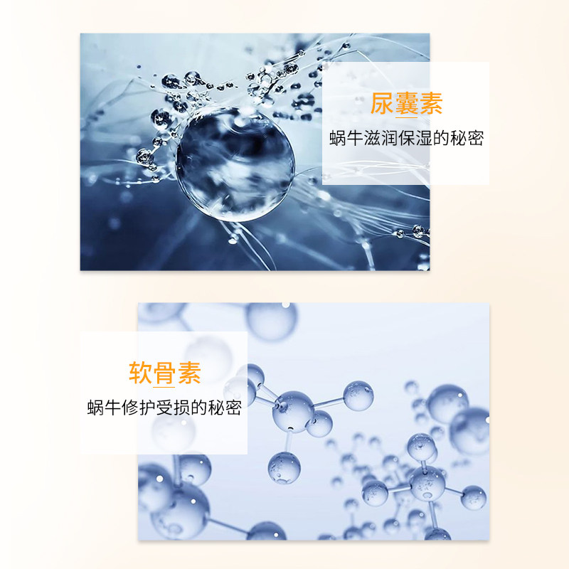  kotte高倩面部护理套装