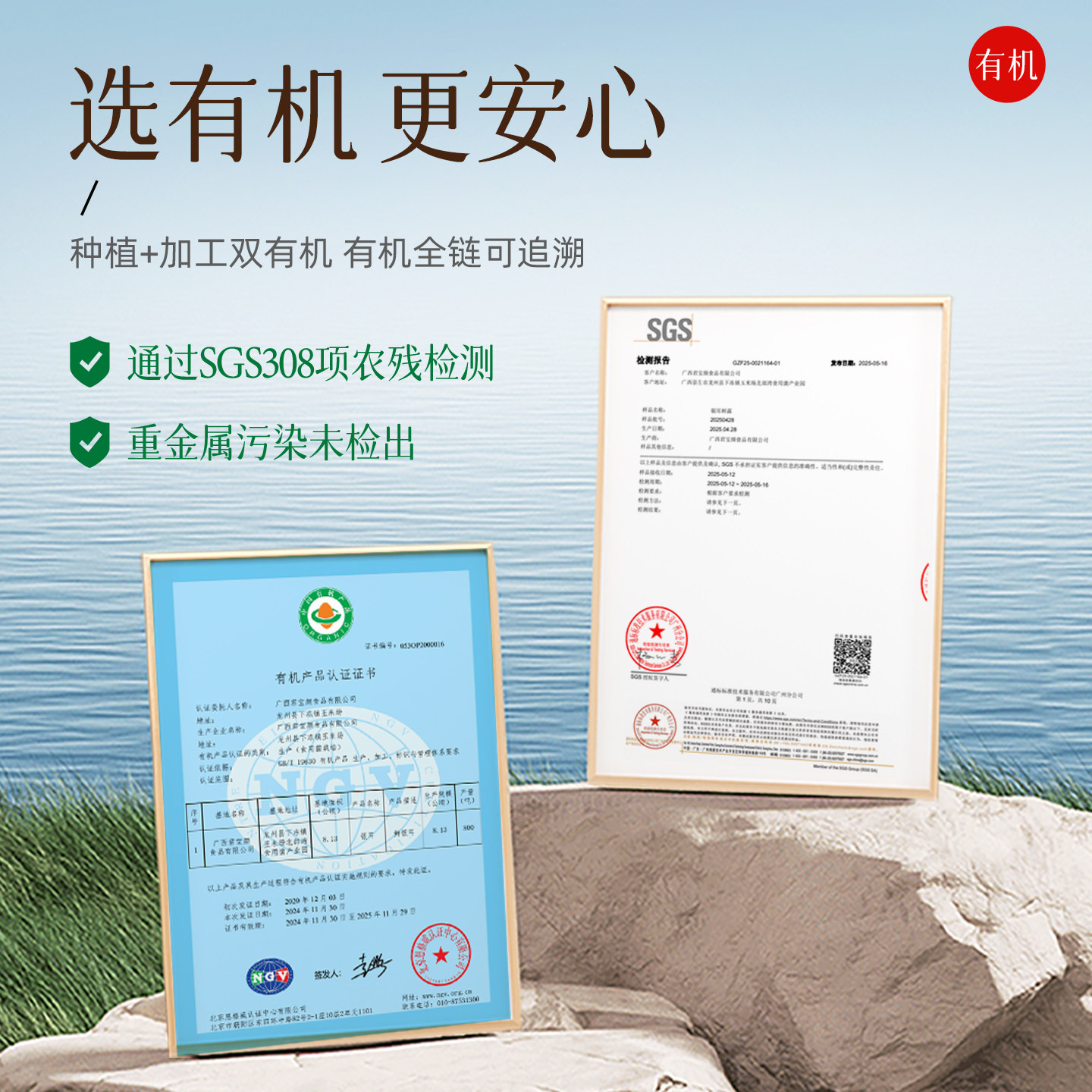 猫千岁红枣枸杞银耳羹鲜炖即食冲泡免煮非古田有机银耳鲜露旗舰店