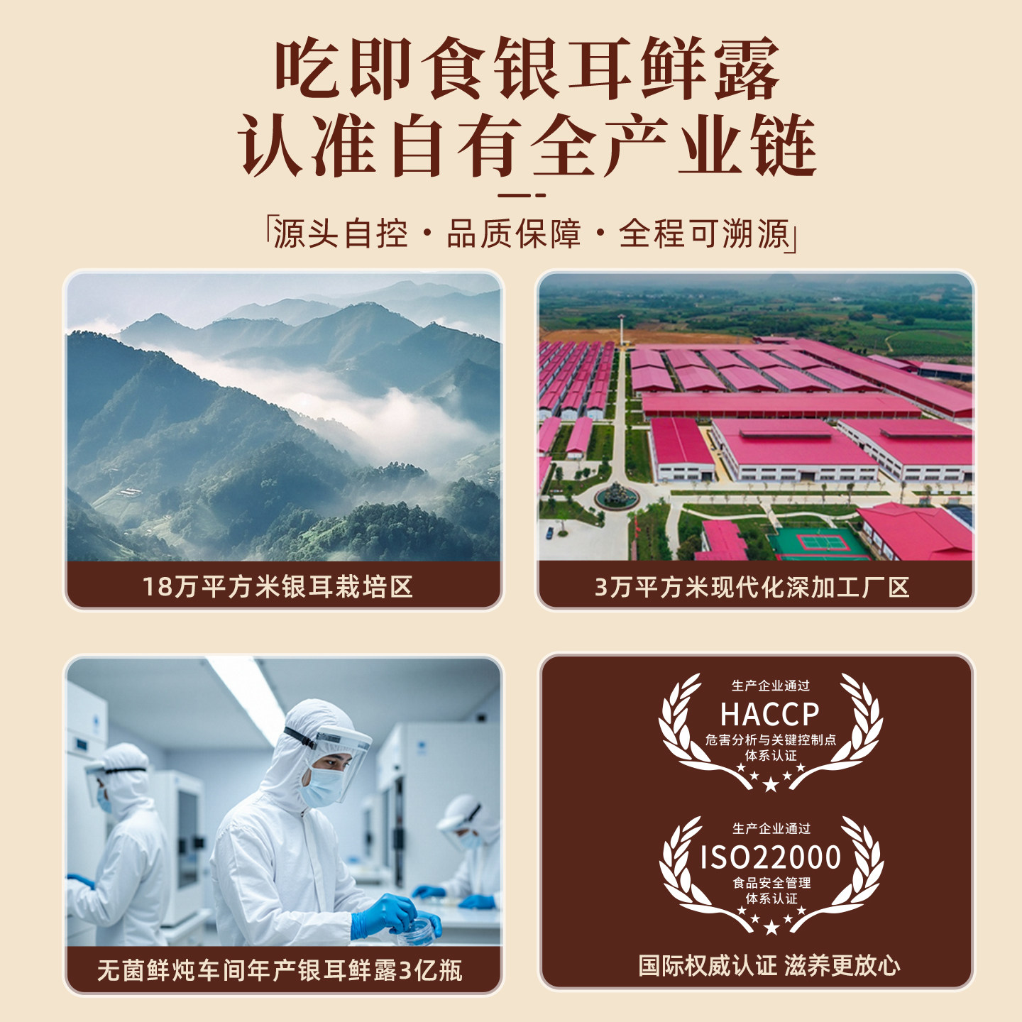 猫千岁银耳鲜露免煮即食鲜炖燕窝羹有机本草红枣冲泡速食雪耳礼盒