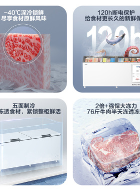 【政府补贴】海尔冰柜商用冷冻柜620/720/830L大容量冷藏冷冻冷柜